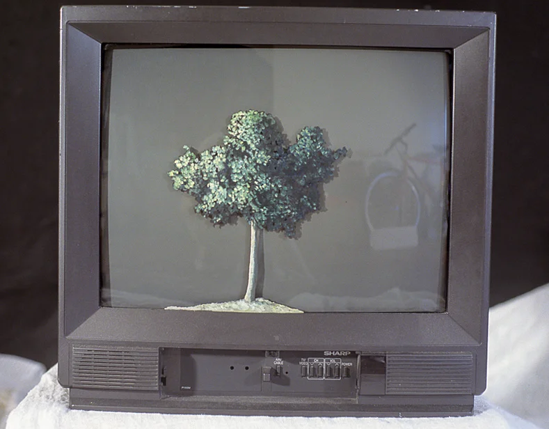 Video Tree Installation