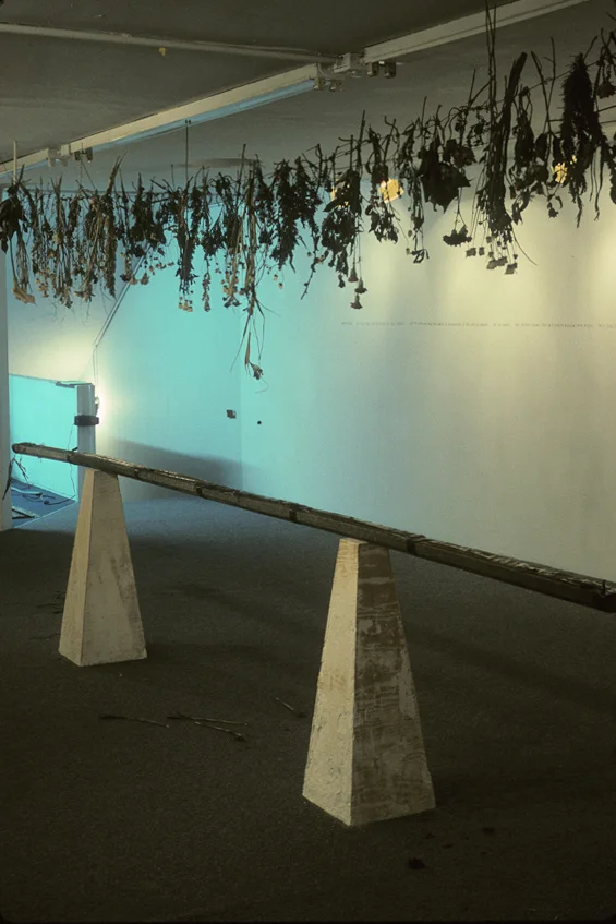 Manifesto Installation
