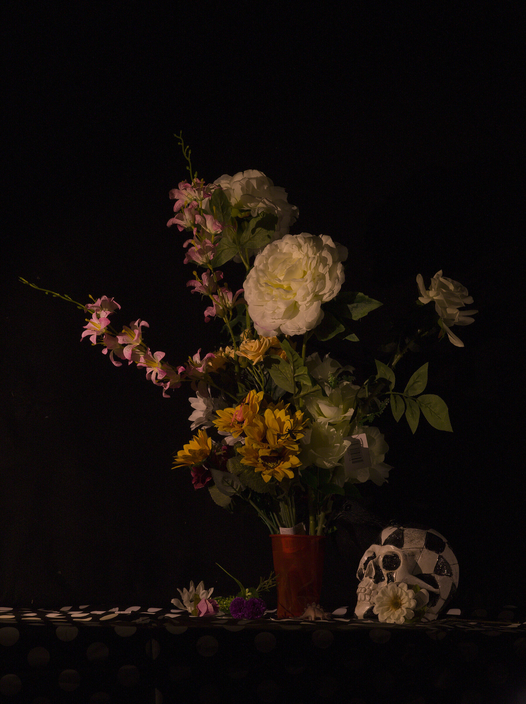 Plastic Vanitas, Scull with Red Cup