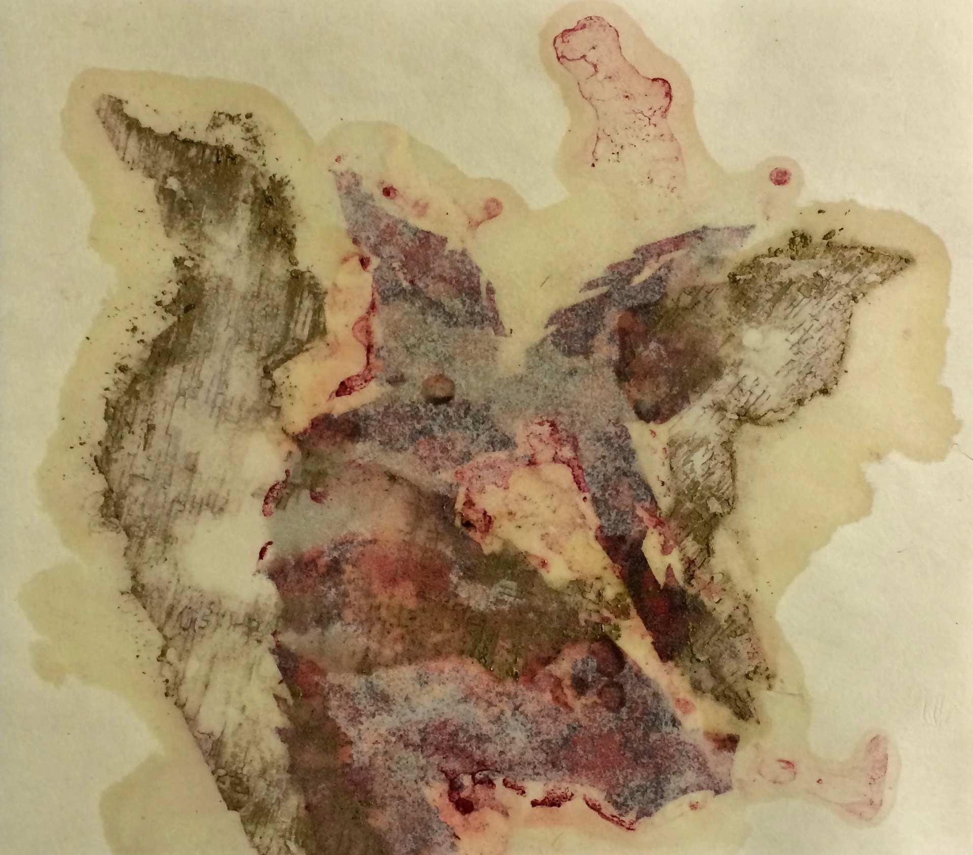   Nest ; dry pigment, shellac, and collage on Japanese paper; 25cm x 29cm; 2015 