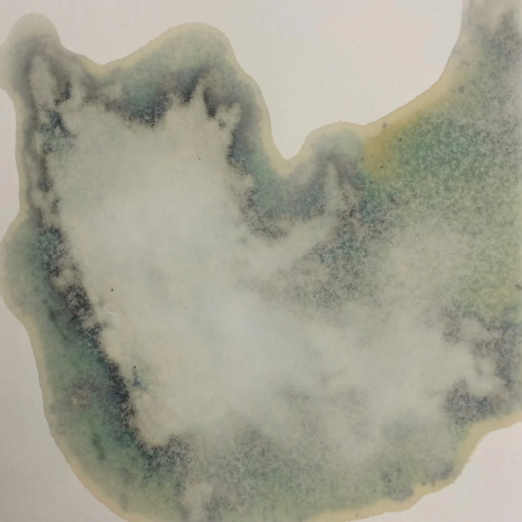 6e Series no.1; dry pigment and shellac on Canson paper; 15cm x 15cm; 2016