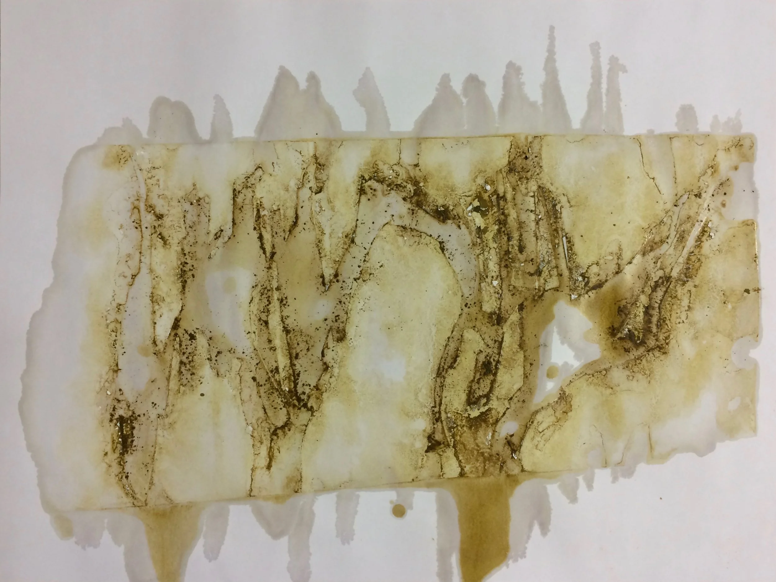 6e Series no.23; dry pigment and shellac on paper; 45cm x 60cm; 2016