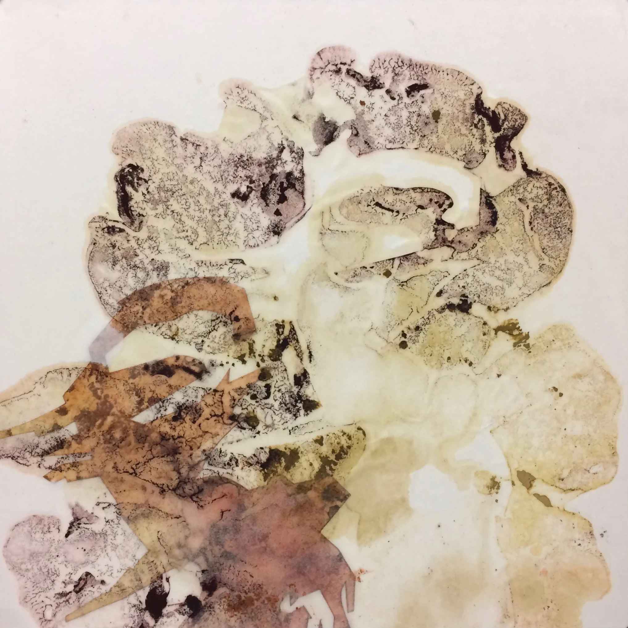   Vintage Series no. 38;  dry pigment, shellac, and collage on 1980 Kozo paper; 21cm x 21cm; 2018 