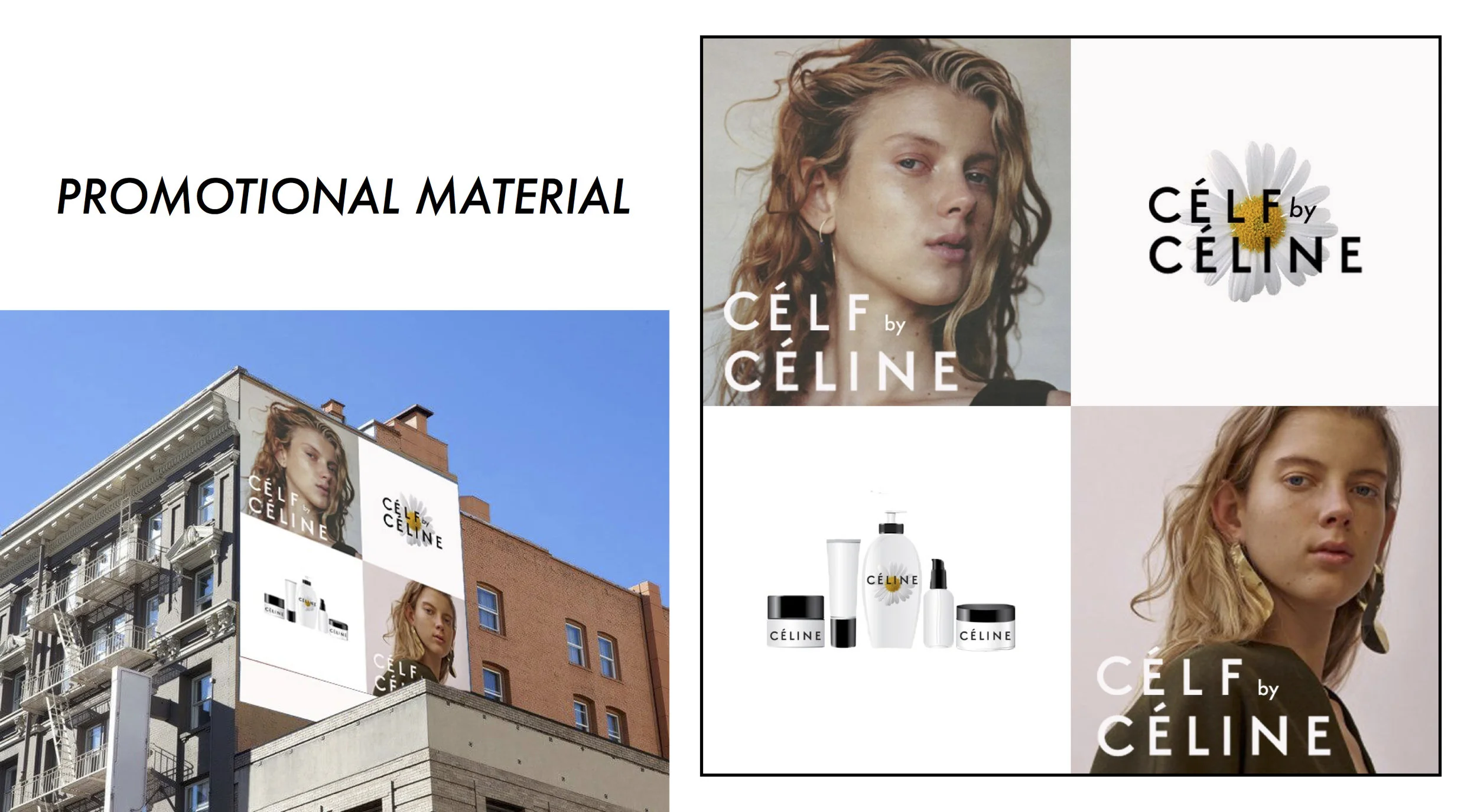 celine_project_revised (dragged) 8.jpg