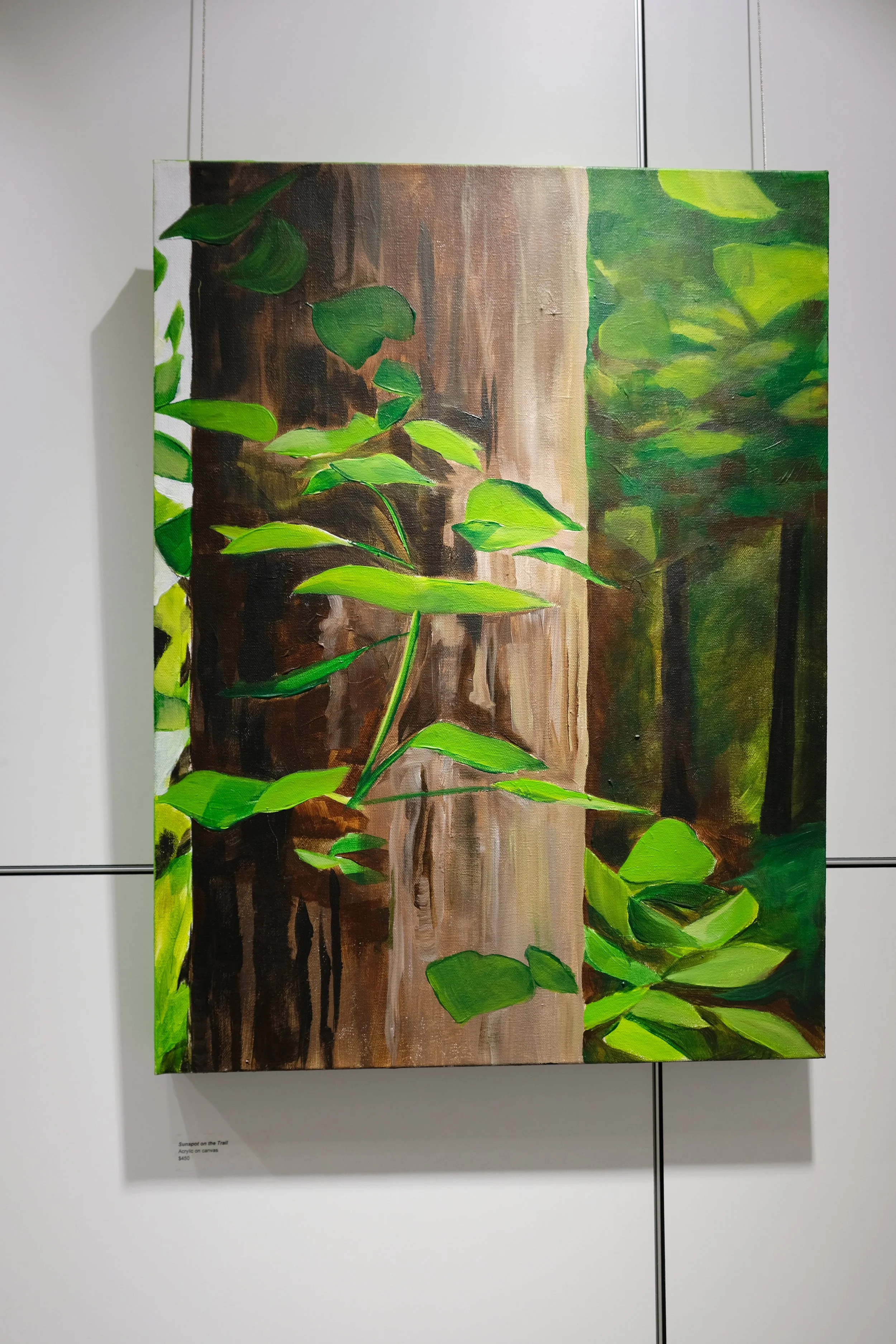 DSCF6570.JPG