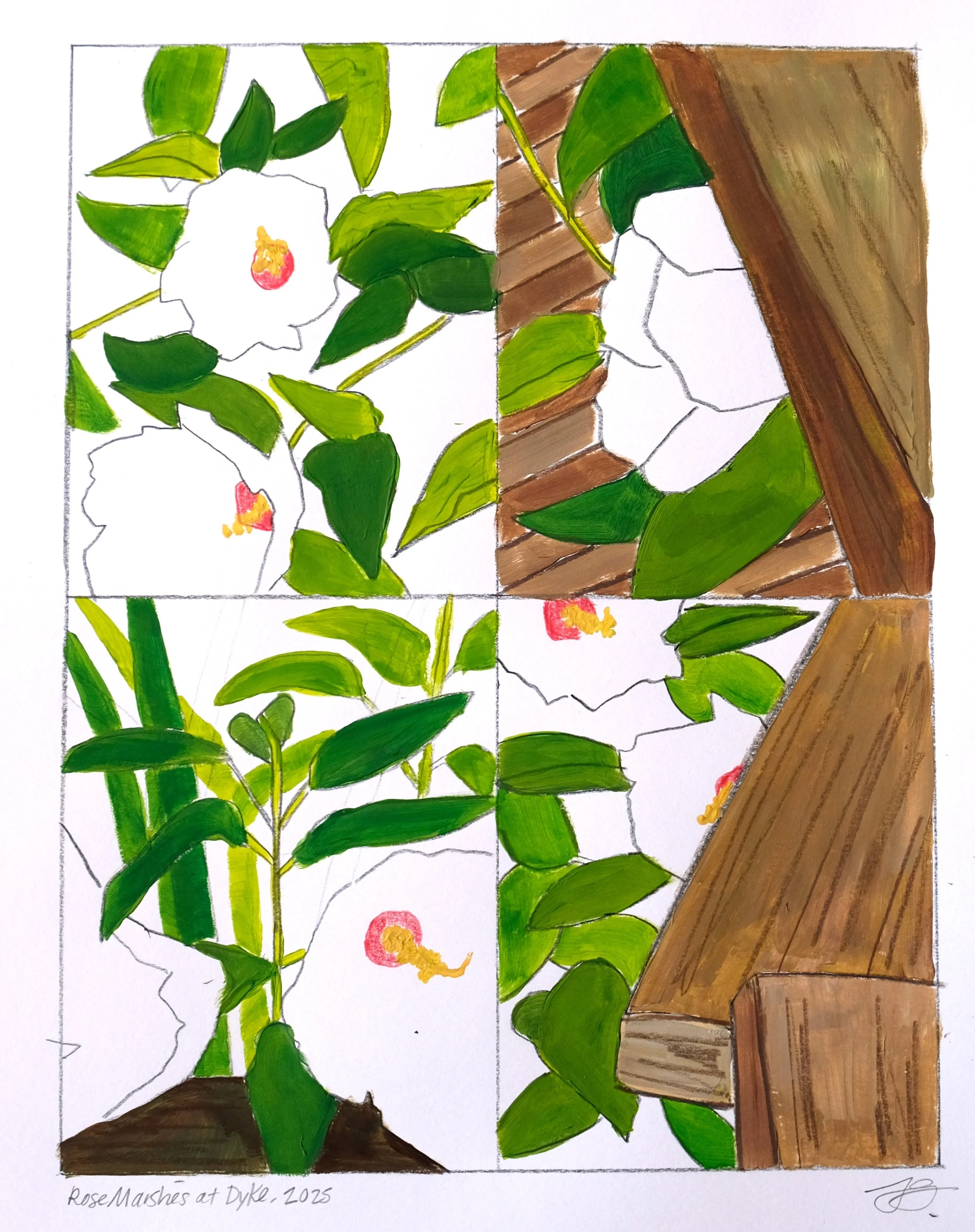 "Rose Marshes at Dyke" a Gouache and Colored Pencil Illustration on Paper