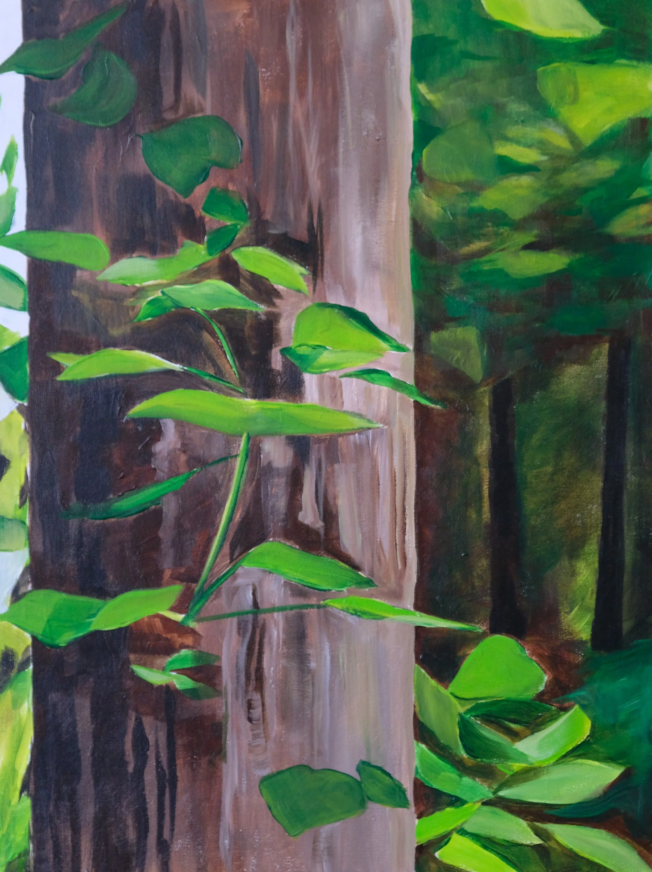 Sun Spot on the Trail, 18x24, Acrylic on Canvas, 2025