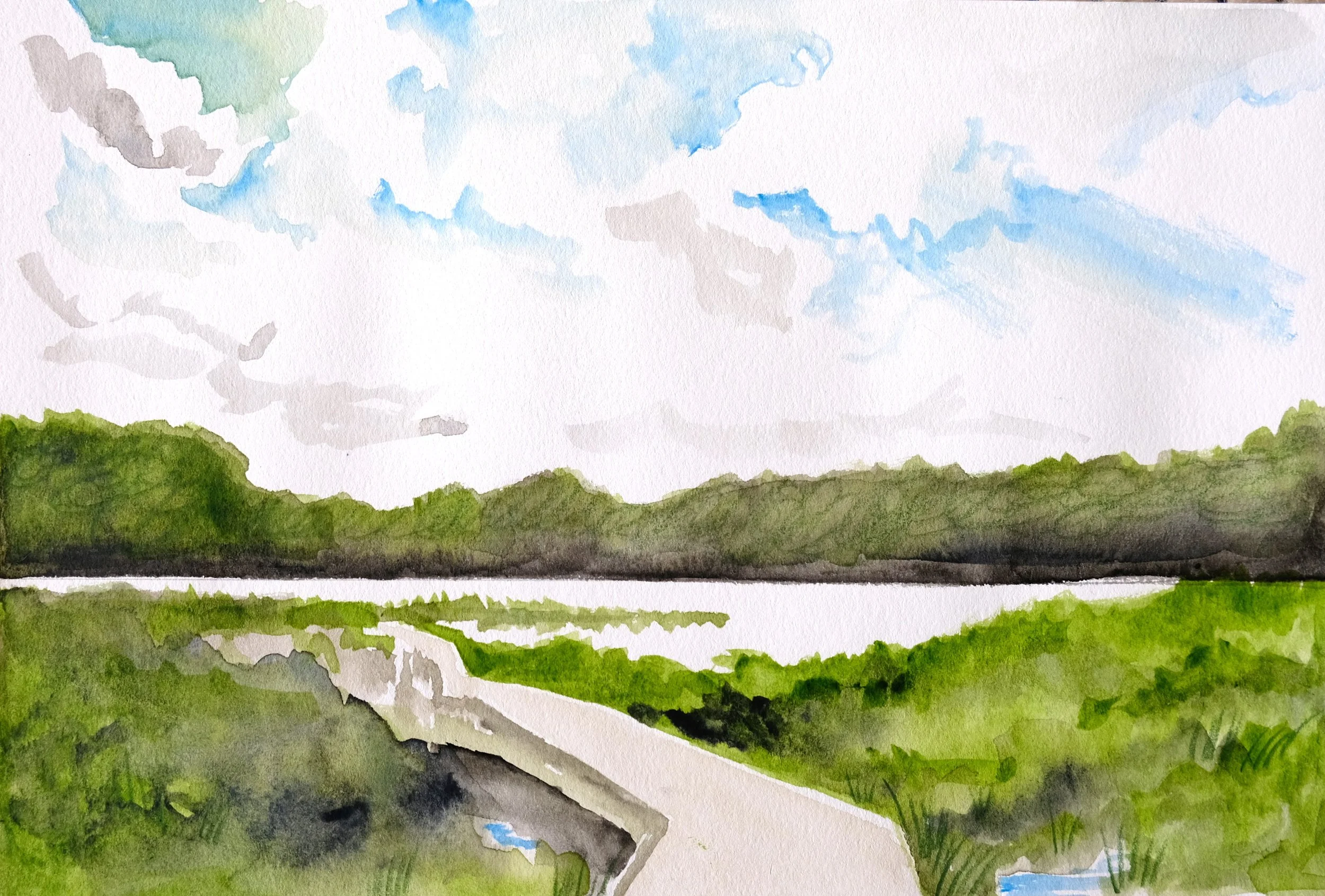 "Big Big World,"  a small watercolor study for a larger painting of Huntley Meadows. 