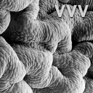 HD036_DIGI_COVER_03.jpg