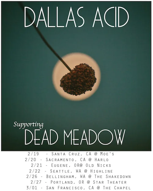 dead meadow tour flyer insta size x 500.jpeg