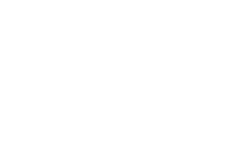 WINNER BEST OF FESTIVAL - Hot Springs International Horror Film Festival - 2016.png