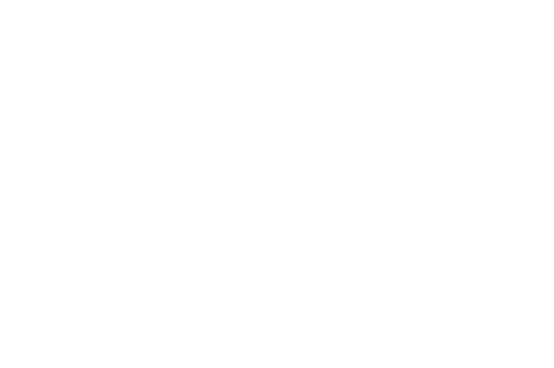 WINNER BEST INTERNATIONAL SHORT - Frostbiter Icelandic Horror Film Festival - 2017.png