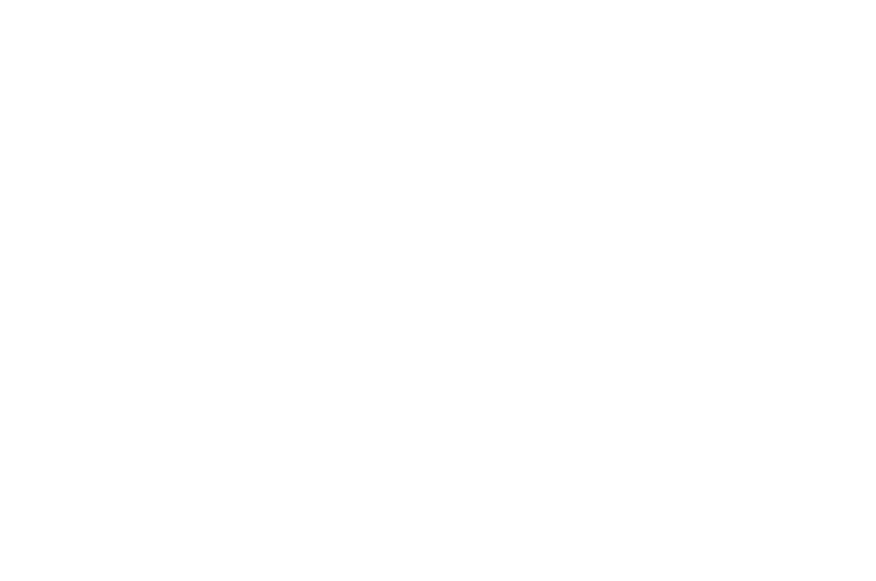 WINNER BEST CINEMATOGRAPHY - BRADFORD LIPSON PLATINUM AWARD - Los Angeles Horror Competition - Summer 2017.png