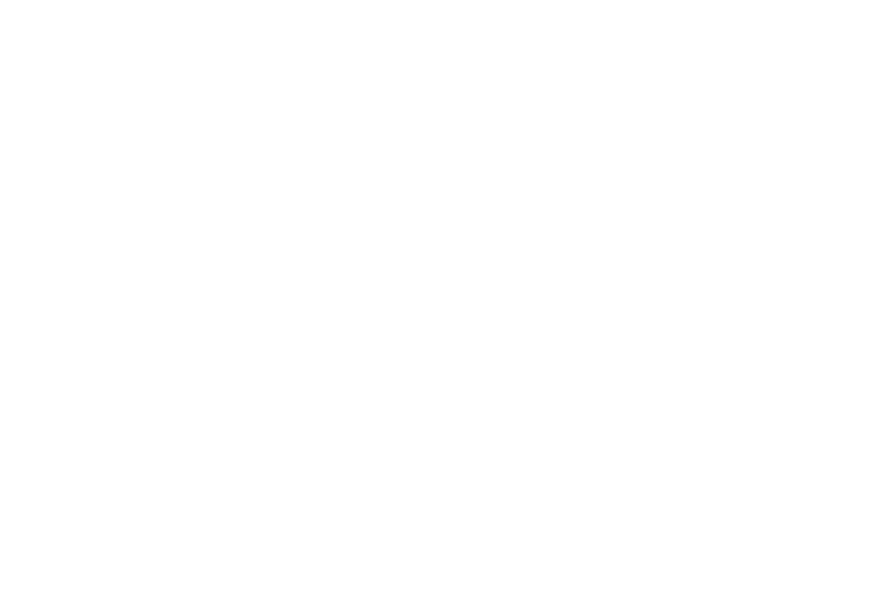 BEST DIRECTOR - DAVID H. JEFFERY - Liberty Massacre Part-4  - 2017.png