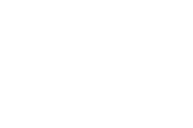BEST DIRECTOR - DAVID H. JEFFERY - Liberty Massacre Part-4 - 2017.png