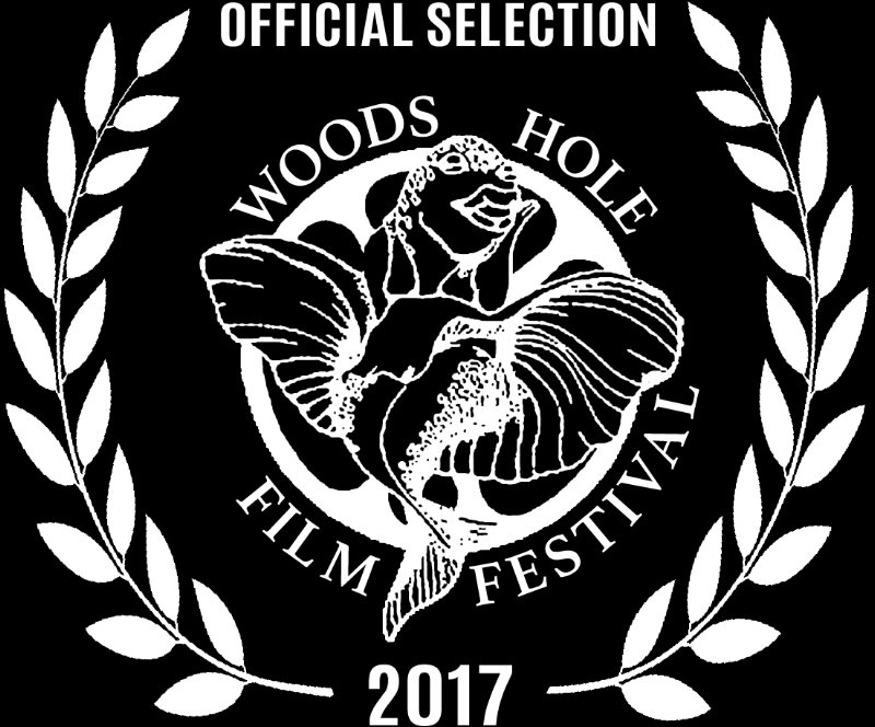 WHFF2017_OfficialSelection_White_transparent.png