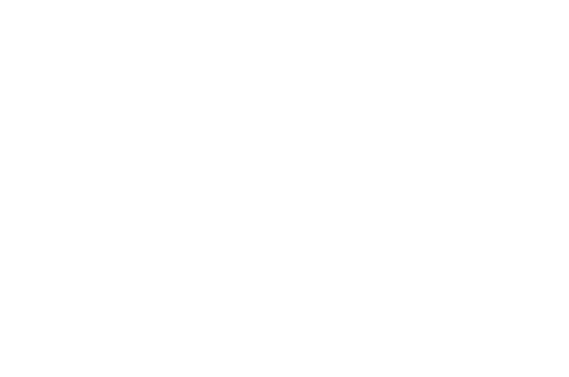 Chicago Horror Film Festival Official Selection