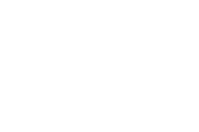OFFICIAL SELECTION - Cinequest - 2017.png