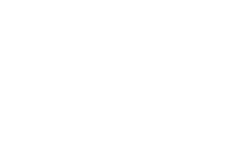 OFFICIAL SELECTION - Razor Reel - 2017.png