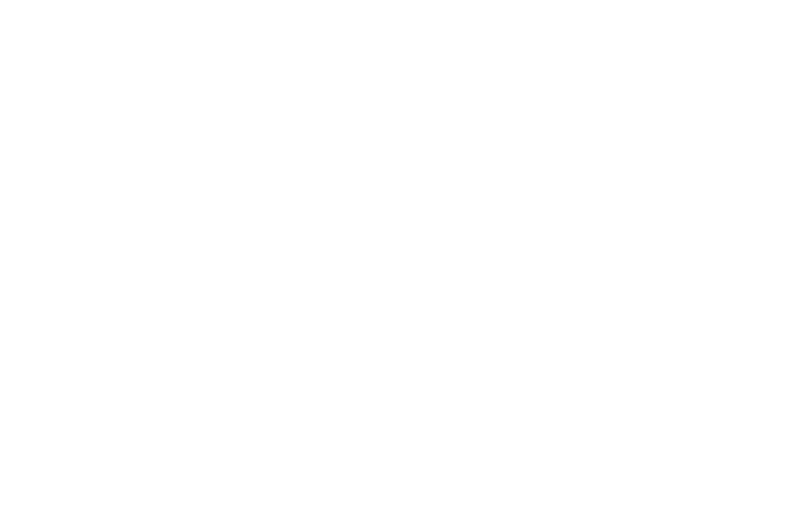 OFFICIAL SELECTION - Dances with Films - 2016.png