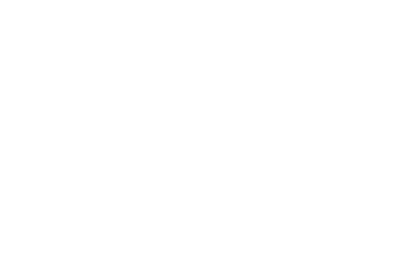 OFFICIAL SELECTION - Fantasia International Film Festival - 2017.png