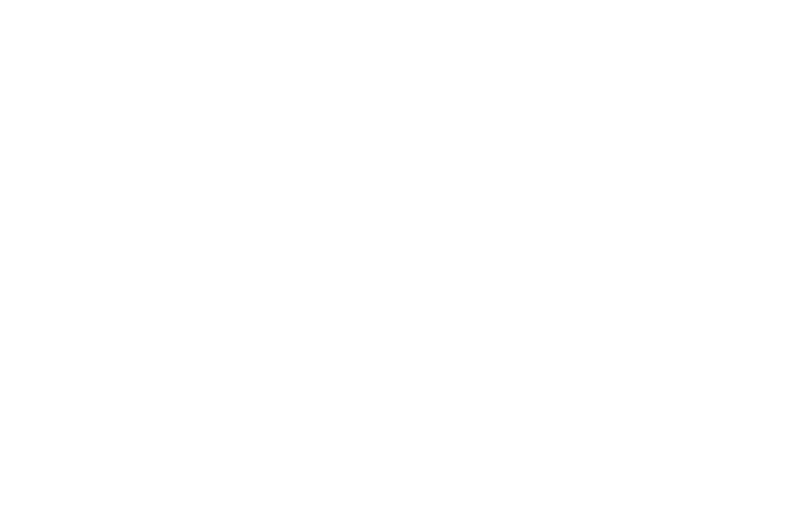 WINNER BEST OF FESTIVAL - Hot Springs Film Festival - 2016.png