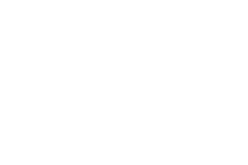 OFFICIAL SELECTION - Woods Hole Film Festival  - 2017.png