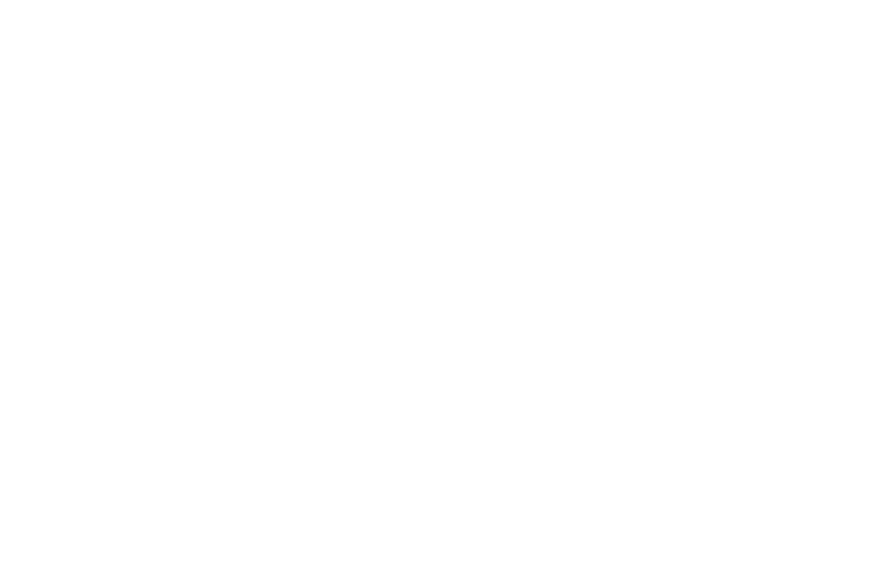 OFFICIAL SELECTION - Buried Alive FIlm Festival - 2016.png