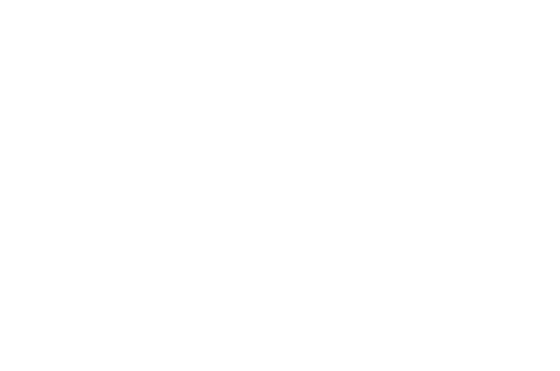 OFFICIAL SELECTION - Chicago Horror Film Festival - 2016.png