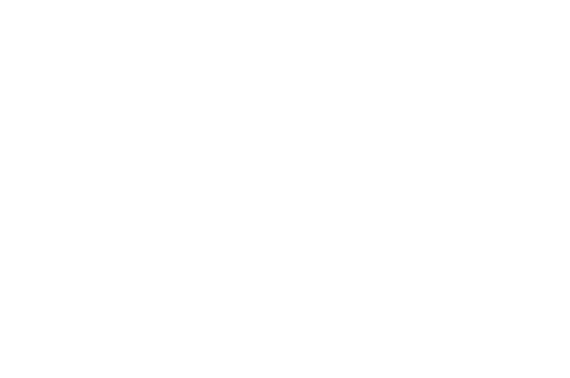 OFFICIAL SELECTION - Milwaukee Twisted Dreams Film Festival - 2017.png