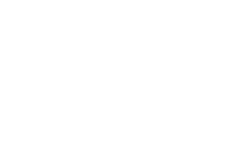 OFFICIAL SELECTION - The Indie Horror Film Festival - 2017.png