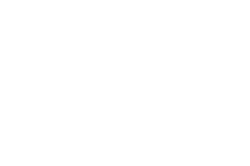 OFFICIAL SELECTION - Bram Stoker International Film Festival - 2016.png