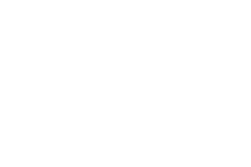 OFFICIAL SELECTION - MAC FILM FESTIVAL - 2017.png