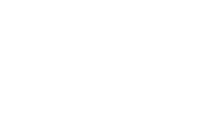 OFFICIAL SELECTION - Hot Springs International Horror Film Festival - 2016.png