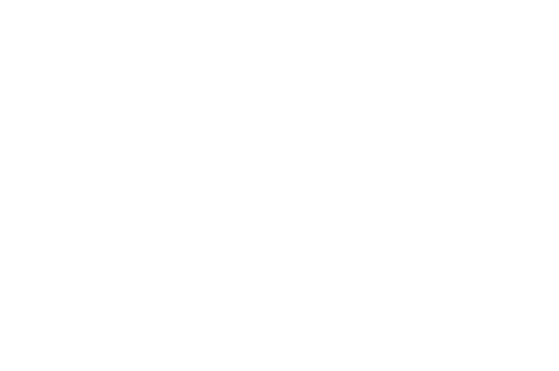 OFFICIAL SELECTION - Short Shorts Film Festival  Asia 2017 - 2017.png