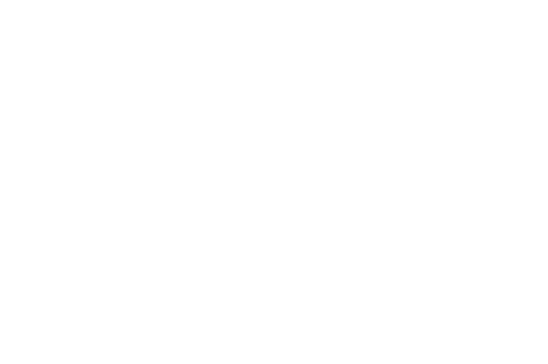 OFFICIAL SELECTION - FANtastic Horror Film Festival - 2017.png