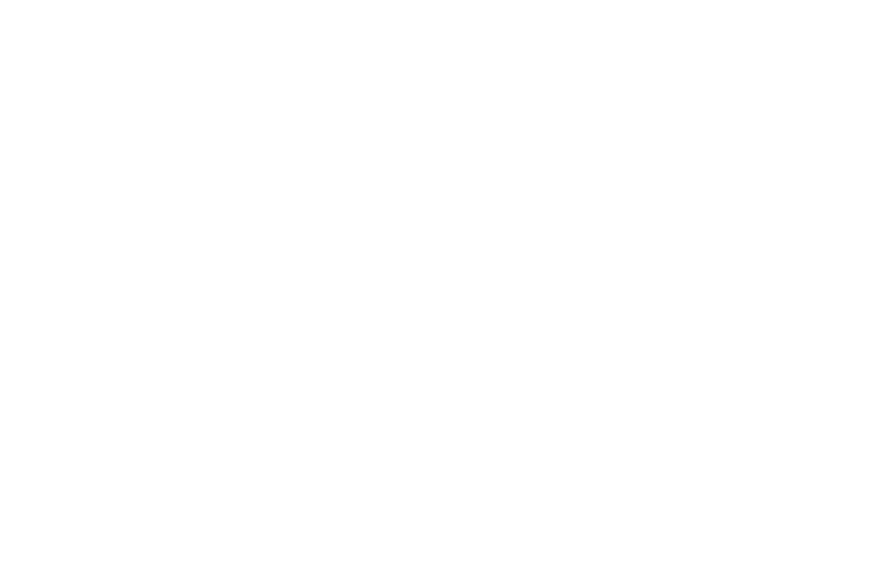 OFFICIAL SELECTION - Las Vegas Film Festival - 2017.png