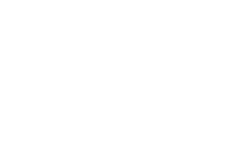 OFFICIAL SELECTION - Scare-A-Con Film Festival - 2017.png