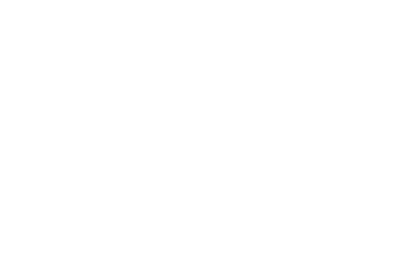 OFFICIAL SELECTION - Woods Hole Film Festival - 2017.png