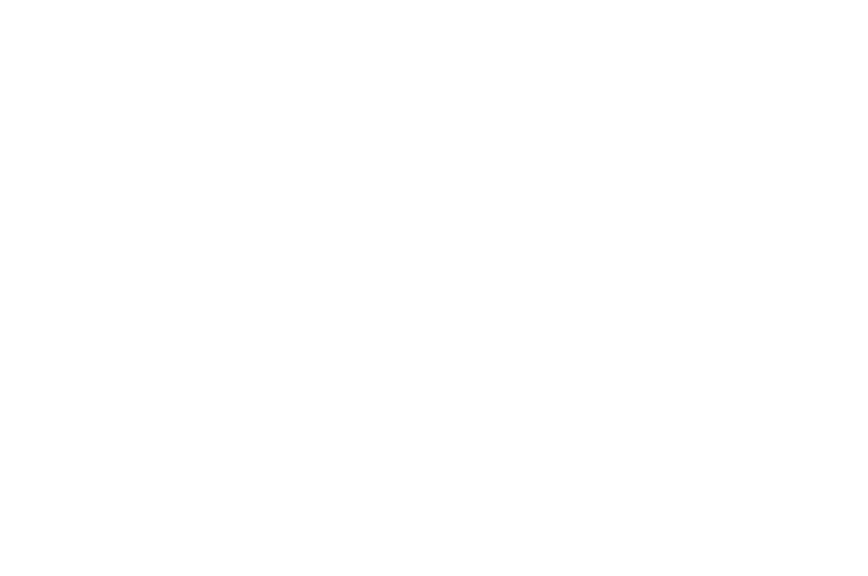 OFFICIAL SELECTION - Spotlight Horror Film Awards - 2017.png