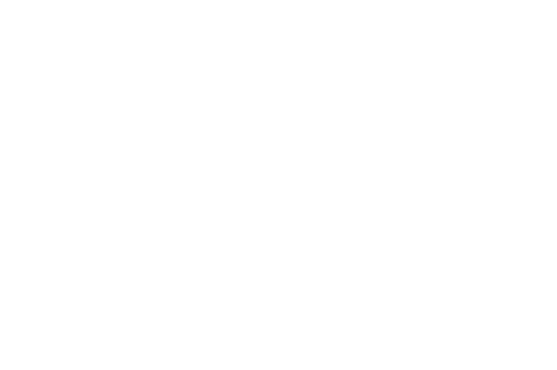 OFFICIAL SELECTION - 18th Kansas International Film Festival - 2017.png