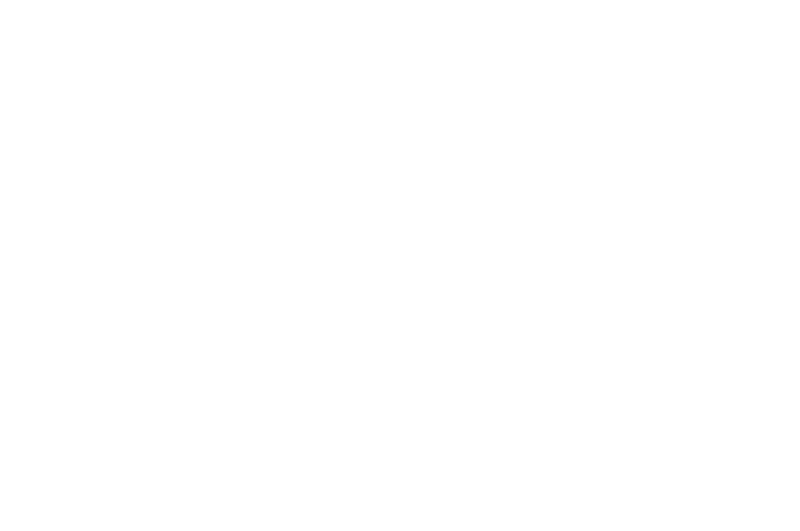 OFFICIAL SELECTION - Dragon Con Independent Short Film Festival - 2017.png