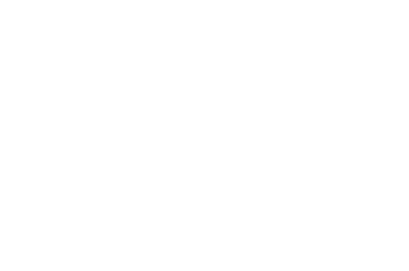 OFFICIAL SELECTION - Pittsburgh Shorts - 2017 (1).png
