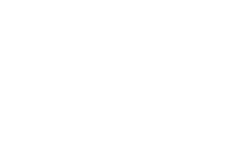 OFFICIAL SELECTION - Nevermore Film Festival - 2018.png