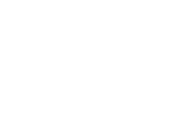 OFFICIAL SELECTION - Anatomy Crime - Horror International Film Festival - 2017.png