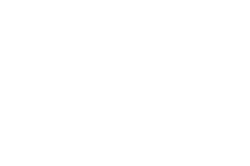 OFFICIAL SELECTION - American Horror Film Festival - 2017.png