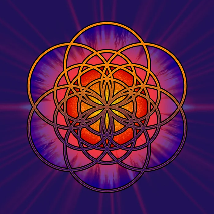 Sun Seed