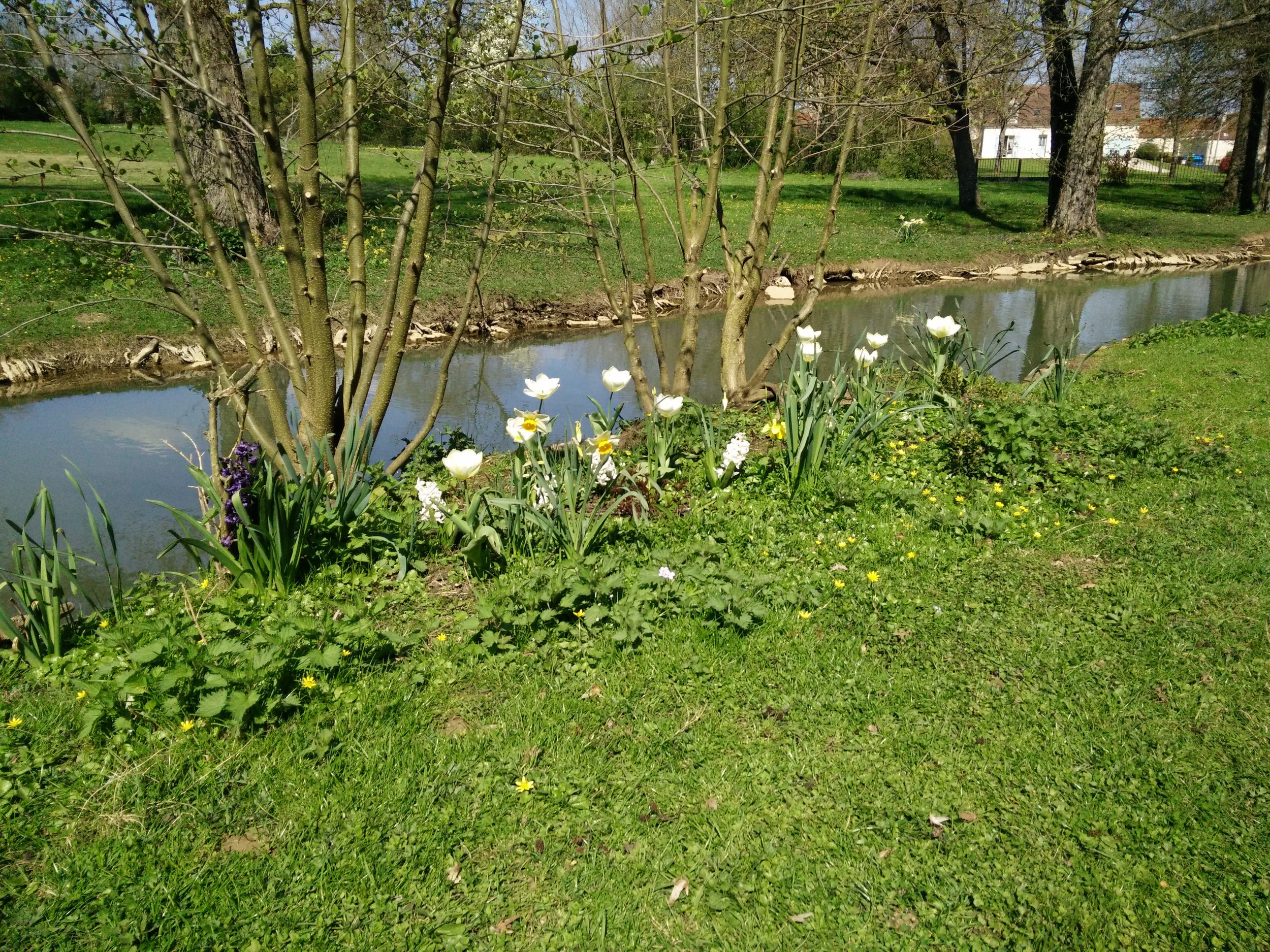 Le jardin et le ruisseau