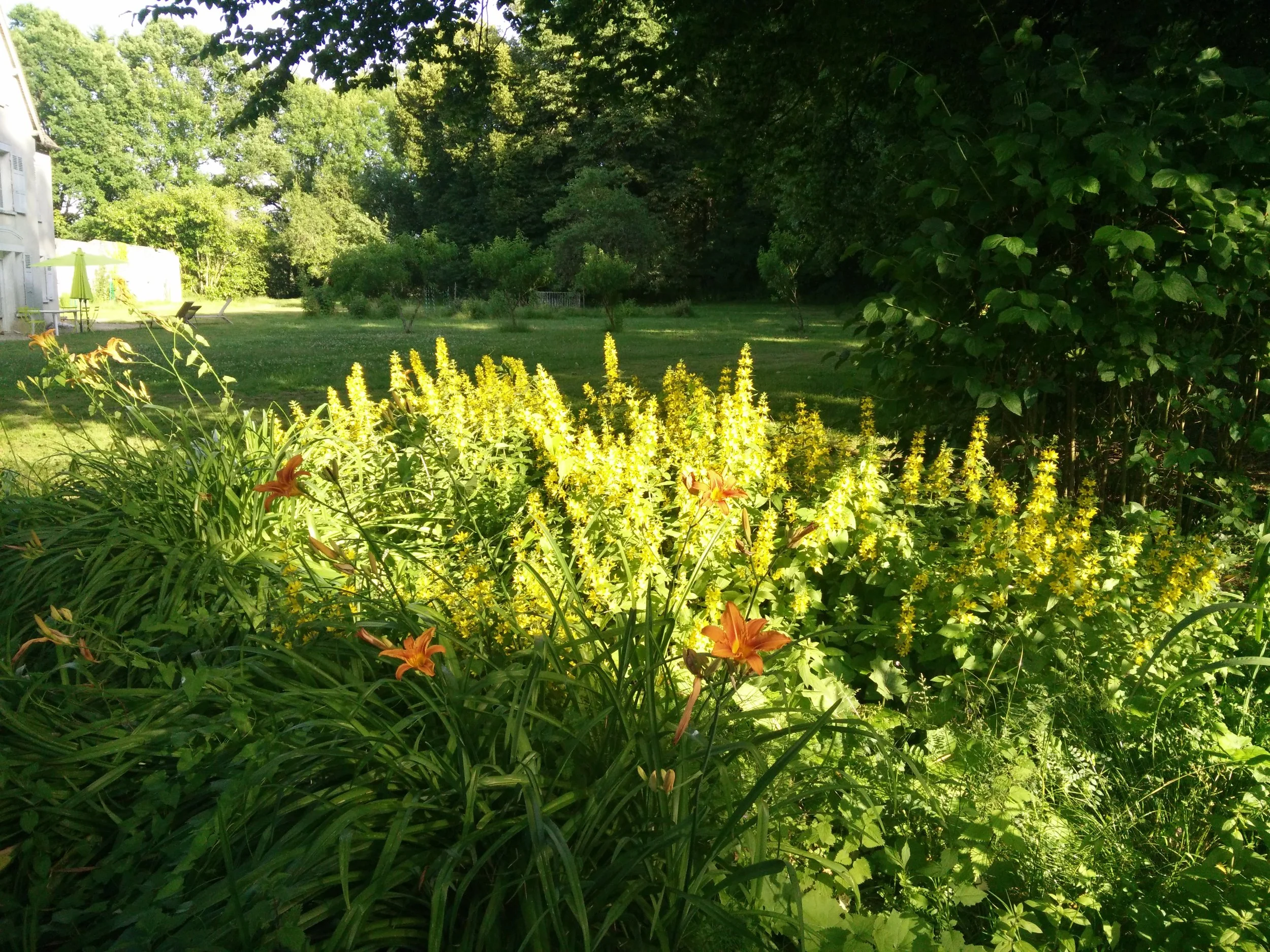 Copy of La Barbotière - le jardin