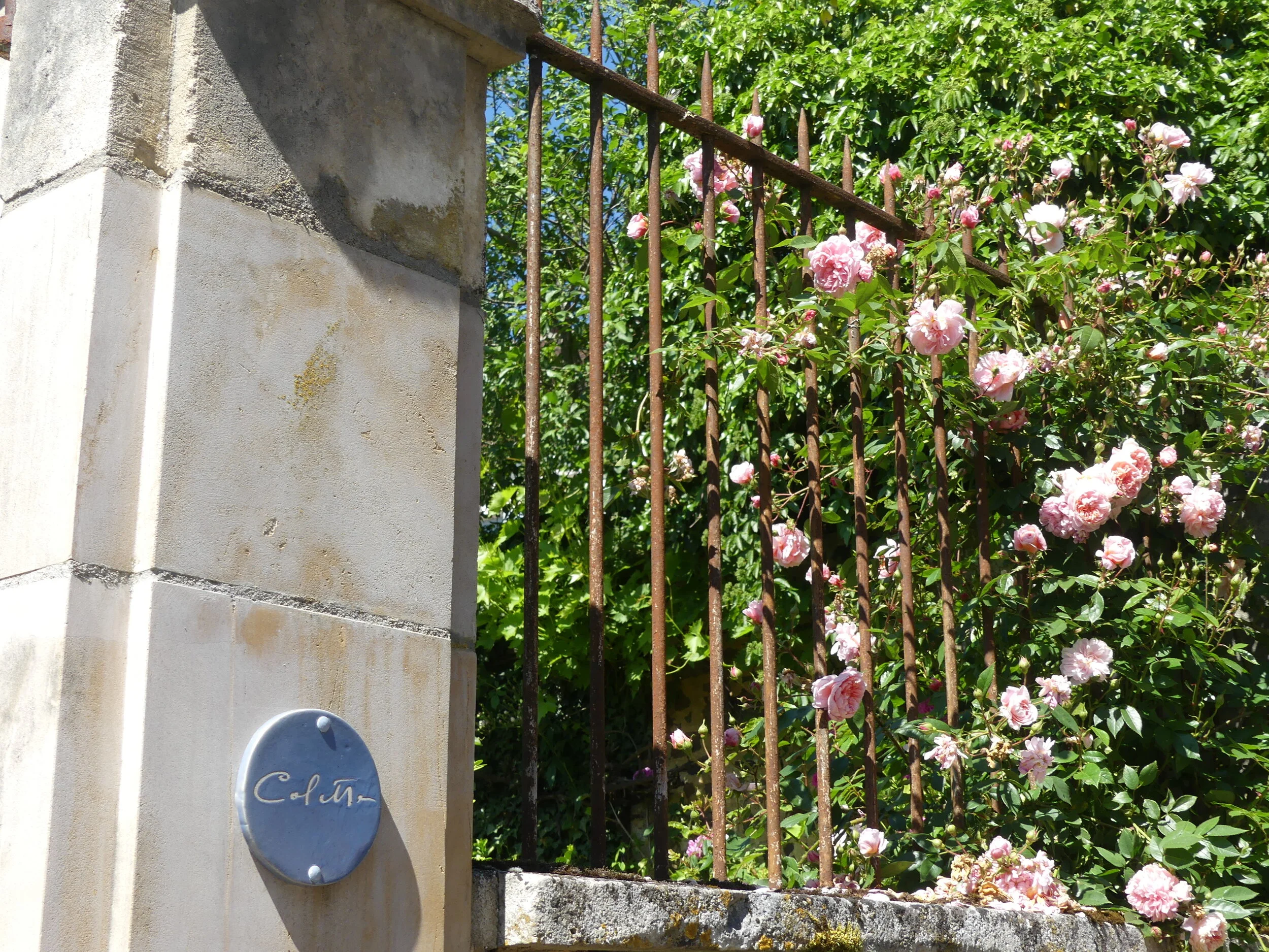 Autour de Saint-Sauveur en Puisaye